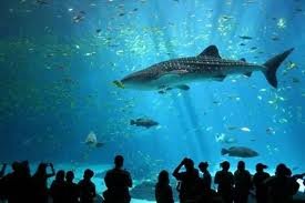 images_089